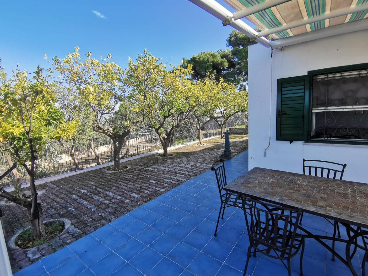 Tenuta Solleone Peschici Exterior photo