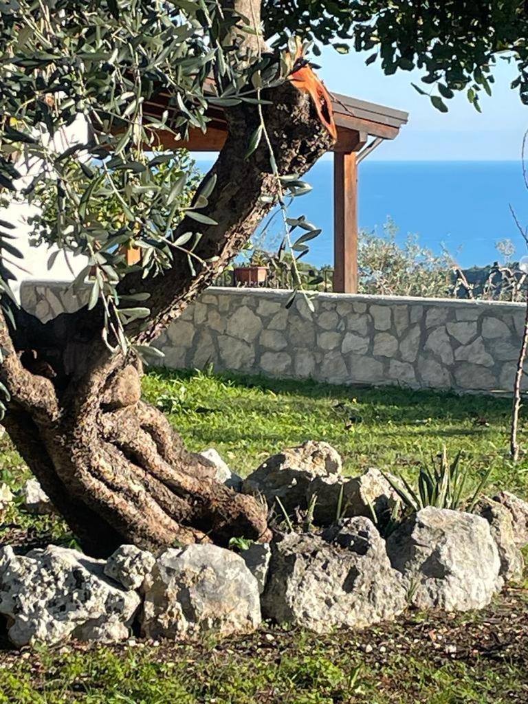 Tenuta Solleone Peschici Exterior photo